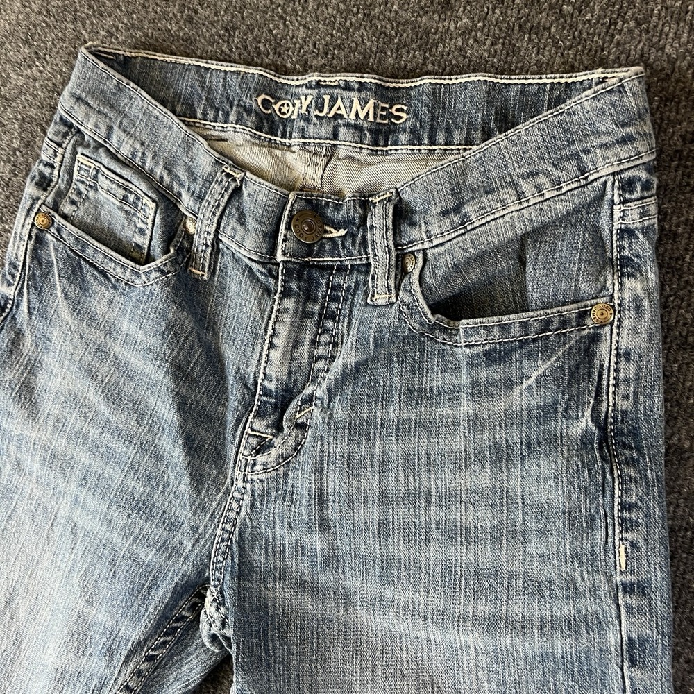 James Jeans Men's Straight Jeans in Light Blue